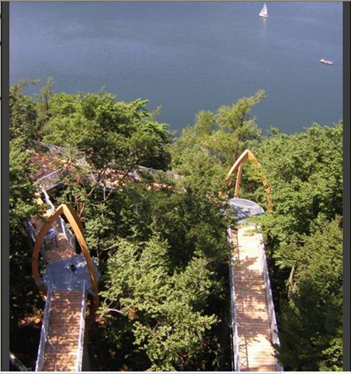 TreeTopWalk von oben